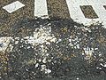 Thumbnail for version as of 03:35, 6 January 2010